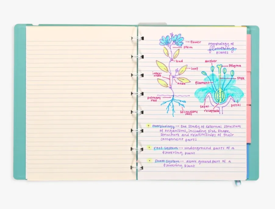 Writer's Duo Fountain Pen & Highlighters